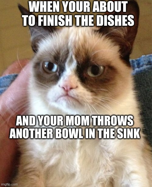 Grumpy Cat Meme | WHEN YOUR ABOUT TO FINISH THE DISHES; AND YOUR MOM THROWS ANOTHER BOWL IN THE SINK | image tagged in memes,grumpy cat | made w/ Imgflip meme maker