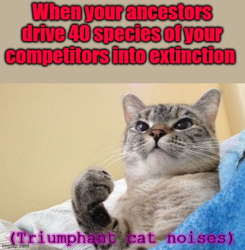 Success Cat | When your ancestors drive 40 species of your competitors into extinction; (Triumphant cat noises) | image tagged in success cat | made w/ Imgflip meme maker