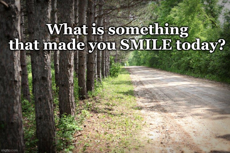 What is something that made you SMILE today? | image tagged in smile,stay positive | made w/ Imgflip meme maker