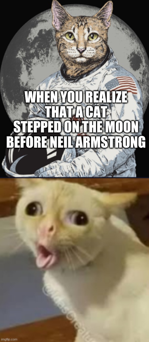 1st cat on moon | WHEN YOU REALIZE THAT A CAT STEPPED ON THE MOON BEFORE NEIL ARMSTRONG | image tagged in funny cats | made w/ Imgflip meme maker