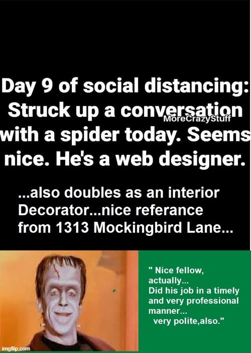 Careers | image tagged in arachnids,isolation humor,fun | made w/ Imgflip meme maker