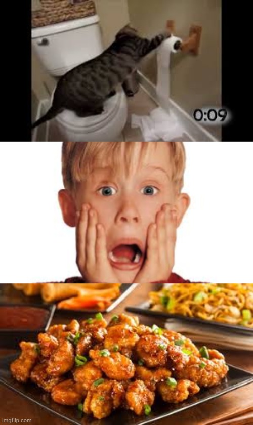 image tagged in coronavirus,cat,chinese food | made w/ Imgflip meme maker