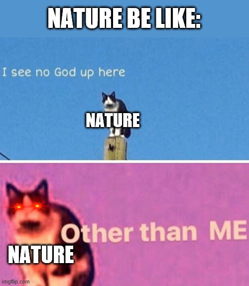 Hail pole cat | NATURE BE LIKE:; NATURE; NATURE | image tagged in hail pole cat | made w/ Imgflip meme maker