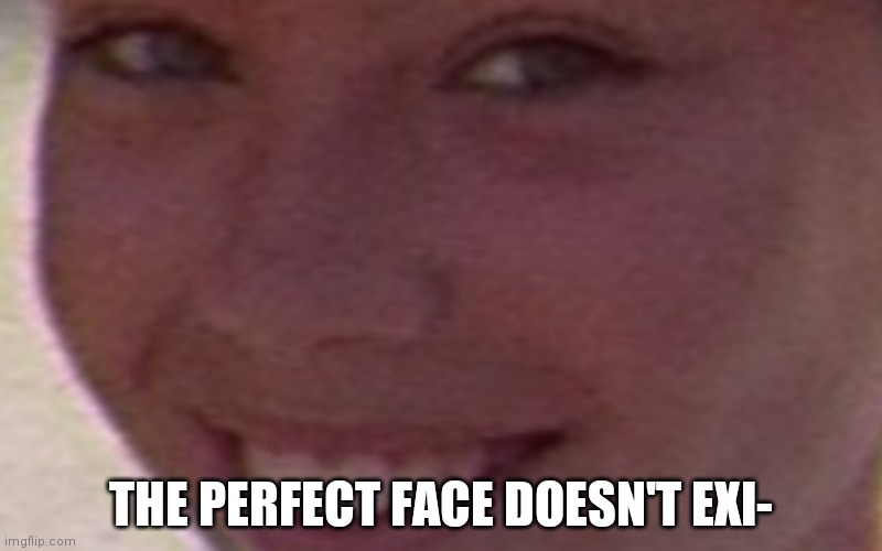 4k lenny face | THE PERFECT FACE DOESN'T EXI- | image tagged in 4k lenny face | made w/ Imgflip meme maker