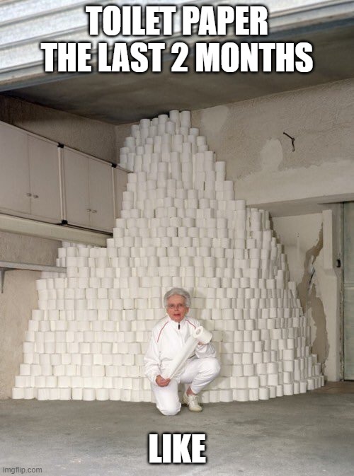 mountain of toilet paper | TOILET PAPER THE LAST 2 MONTHS; LIKE | image tagged in mountain of toilet paper | made w/ Imgflip meme maker