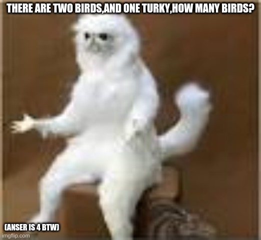 me asking a child a simple question... | THERE ARE TWO BIRDS,AND ONE TURKY,HOW MANY BIRDS? (ANSER IS 4 BTW) | image tagged in memes,cats,i dont know | made w/ Imgflip meme maker
