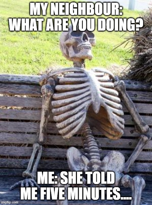 Waiting Skeleton Meme | MY NEIGHBOUR: WHAT ARE YOU DOING? ME: SHE TOLD ME FIVE MINUTES.... | image tagged in memes,waiting skeleton | made w/ Imgflip meme maker