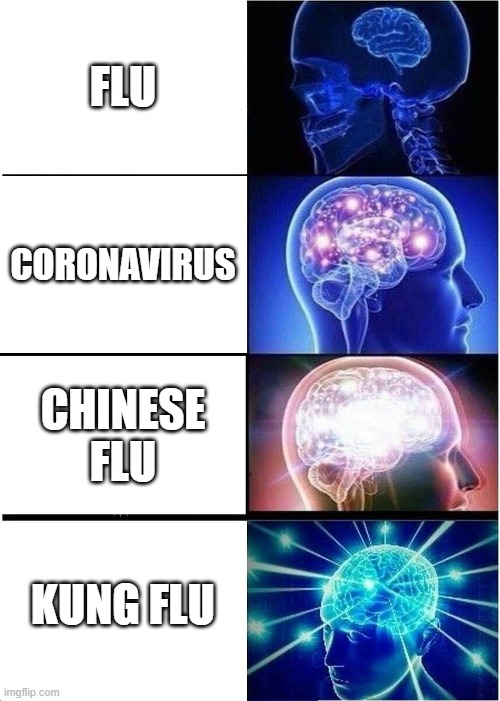 Expanding Brain Meme | FLU; CORONAVIRUS; CHINESE FLU; KUNG FLU | image tagged in memes,expanding brain | made w/ Imgflip meme maker