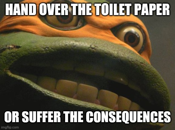 TMNT Mikey | HAND OVER THE TOILET PAPER; OR SUFFER THE CONSEQUENCES | image tagged in tmnt mikey | made w/ Imgflip meme maker