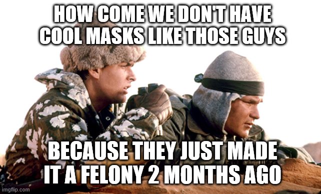 HOW COME WE DON'T HAVE COOL MASKS LIKE THOSE GUYS; BECAUSE THEY JUST MADE IT A FELONY 2 MONTHS AGO | image tagged in funny | made w/ Imgflip meme maker