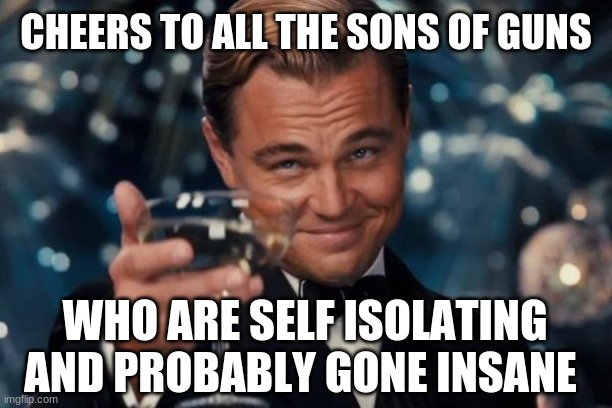 Leonardo Dicaprio Cheers | CHEERS TO ALL THE SONS OF GUNS; WHO ARE SELF ISOLATING AND PROBABLY GONE INSANE | image tagged in memes,leonardo dicaprio cheers | made w/ Imgflip meme maker