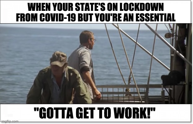 Working Jaws | WHEN YOUR STATE'S ON LOCKDOWN FROM COVID-19 BUT YOU'RE AN ESSENTIAL; "GOTTA GET TO WORK!" | image tagged in jaws,going to need a bigger boat,covid-19,quint,quarantine,lockdown | made w/ Imgflip meme maker