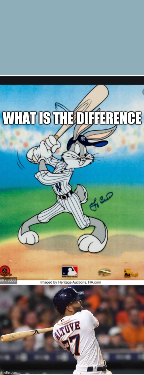 bugs | WHAT IS THE DIFFERENCE | image tagged in bugs bunny | made w/ Imgflip meme maker