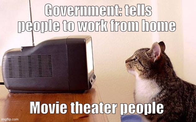 cat watching tv | Government: tells people to work from home; Movie theater people | image tagged in cat watching tv | made w/ Imgflip meme maker