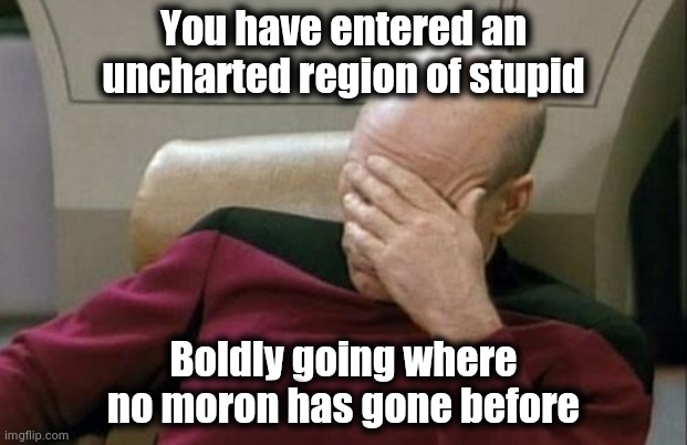 Captain Picard Facepalm Meme | You have entered an uncharted region of stupid Boldly going where no moron has gone before | image tagged in memes,captain picard facepalm | made w/ Imgflip meme maker