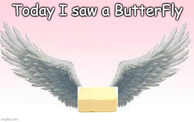 A Legit ButterFly | Today I saw a ButterFly | image tagged in seems legit,butterfly,joke,bad pun | made w/ Imgflip meme maker