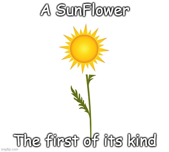 The True SunFlower | A SunFlower; The first of its kind | image tagged in legit,seems legit,bad pun,joke | made w/ Imgflip meme maker