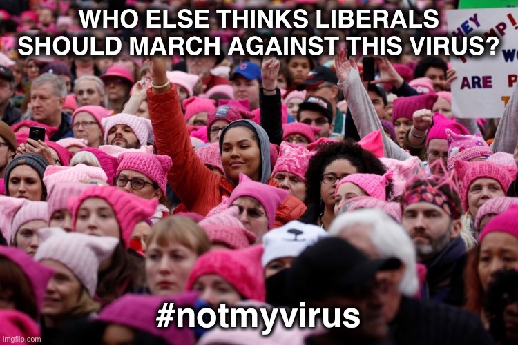 It’s a proven way to create change...am I right? | WHO ELSE THINKS LIBERALS SHOULD MARCH AGAINST THIS VIRUS? #notmyvirus | image tagged in women's march,coronavirus | made w/ Imgflip meme maker