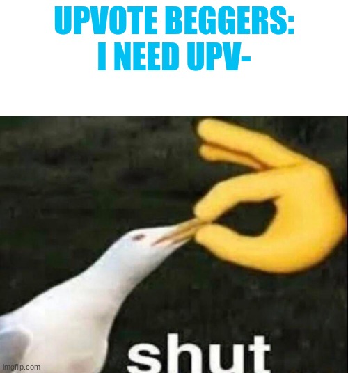 UPVOTE BEGGERS: I NEED UPV- | image tagged in blank white template,shut | made w/ Imgflip meme maker