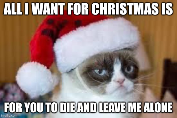 Grumpy cat christmas | ALL I WANT FOR CHRISTMAS IS; FOR YOU TO DIE AND LEAVE ME ALONE | image tagged in grumpy cat christmas | made w/ Imgflip meme maker