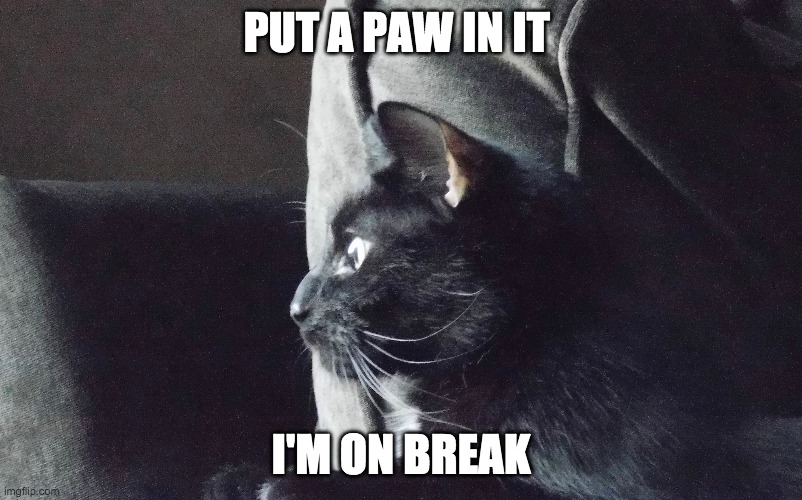 PUT A PAW IN IT; I'M ON BREAK | image tagged in business cat | made w/ Imgflip meme maker