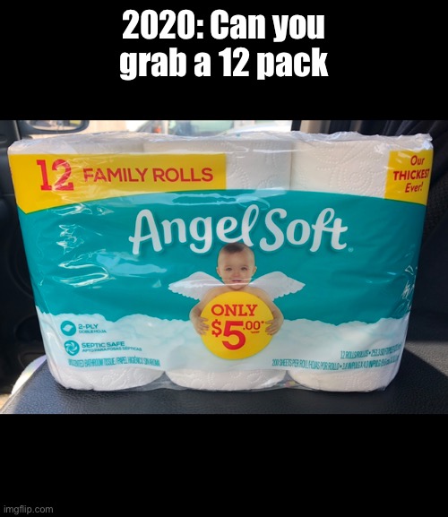 Toilet paper |  2020: Can you grab a 12 pack | image tagged in toilet paper | made w/ Imgflip meme maker
