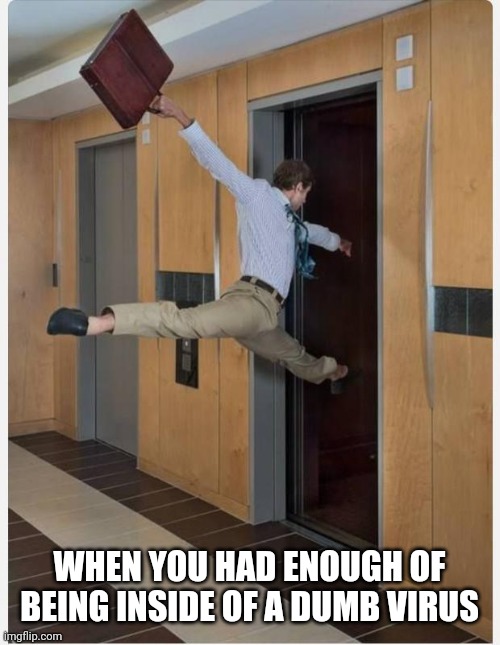 Leaving on Friday | WHEN YOU HAD ENOUGH OF BEING INSIDE OF A DUMB VIRUS | image tagged in leaving on friday | made w/ Imgflip meme maker