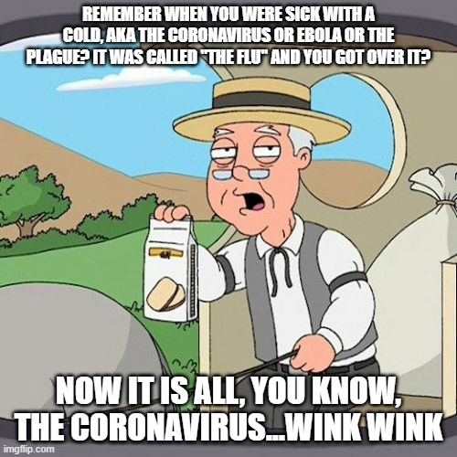 IT HAS ALWAYS BEEN HERE | REMEMBER WHEN YOU WERE SICK WITH A COLD, AKA THE CORONAVIRUS OR EBOLA OR THE PLAGUE? IT WAS CALLED "THE FLU" AND YOU GOT OVER IT? NOW IT IS ALL, YOU KNOW, THE CORONAVIRUS...WINK WINK | image tagged in memes,pepperidge farm remembers,coronavirus,idiots,morons | made w/ Imgflip meme maker
