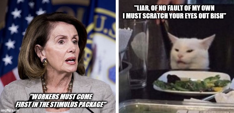 Pelosi yells at cat | "LIAR, OF NO FAULT OF MY OWN I MUST SCRATCH YOUR EYES OUT BISH"; "WORKERS MUST COME FIRST IN THE STIMULUS PACKAGE" | image tagged in pelosi yells at cat | made w/ Imgflip meme maker