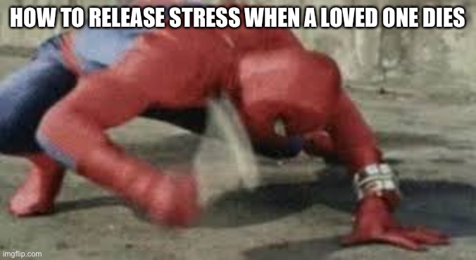 Spiderman hitting button | HOW TO RELEASE STRESS WHEN A LOVED ONE DIES | image tagged in spiderman hitting button | made w/ Imgflip meme maker
