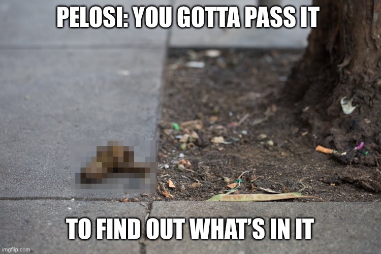 San Francisco street mess | PELOSI: YOU GOTTA PASS IT; TO FIND OUT WHAT’S IN IT | image tagged in san francisco street mess,Zeducation | made w/ Imgflip meme maker