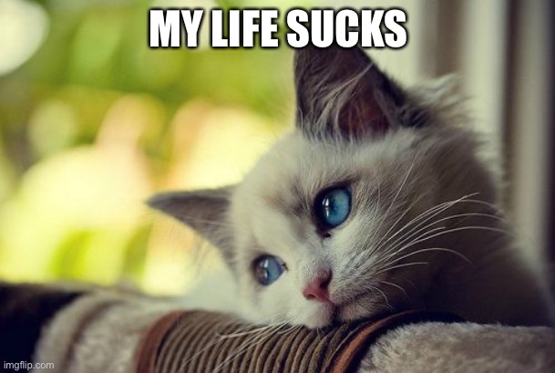 First World Problems Cat |  MY LIFE SUCKS | image tagged in memes,first world problems cat | made w/ Imgflip meme maker