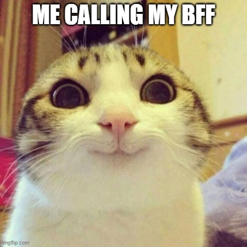 Smiling Cat | ME CALLING MY BFF | image tagged in memes,smiling cat | made w/ Imgflip meme maker