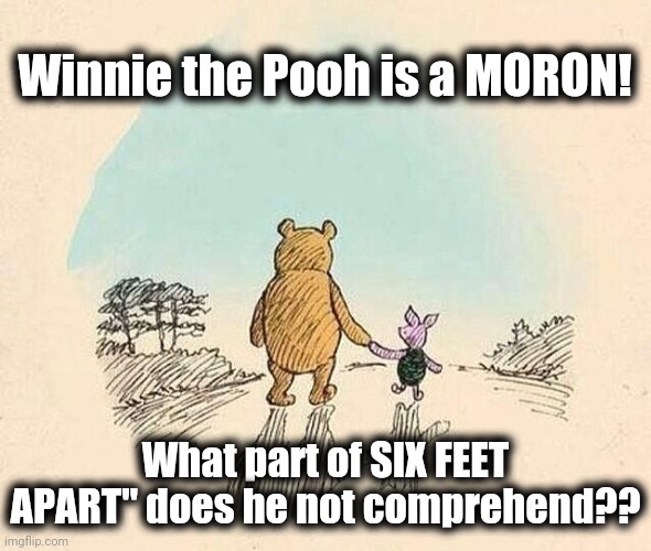 Pooh and Piglet | Winnie the Pooh is a MORON! What part of SIX FEET APART" does he not comprehend?? | image tagged in pooh and piglet | made w/ Imgflip meme maker