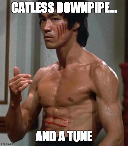 Bruce Lee | CATLESS DOWNPIPE... AND A TUNE | image tagged in bruce lee | made w/ Imgflip meme maker