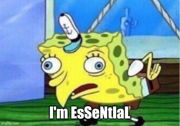 Mocking Spongebob | I'm EsSeNtIaL | image tagged in memes,mocking spongebob | made w/ Imgflip meme maker