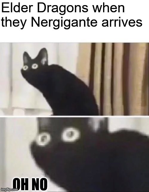Oh No Black Cat | Elder Dragons when they Nergigante arrives; OH NO | image tagged in oh no black cat | made w/ Imgflip meme maker