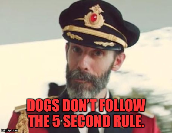 Captain Obvious | DOGS DON’T FOLLOW THE 5 SECOND RULE. | image tagged in captain obvious | made w/ Imgflip meme maker