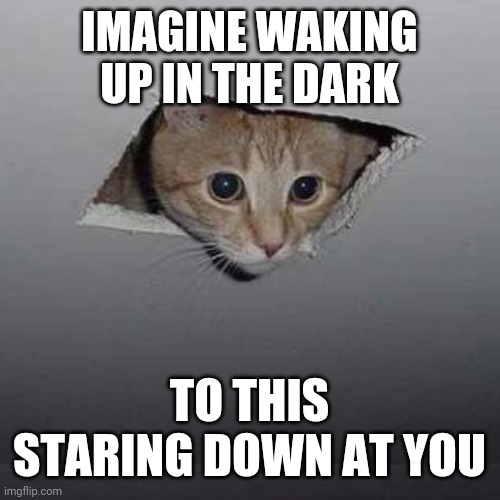 Ceiling Cat Meme | IMAGINE WAKING UP IN THE DARK; TO THIS STARING DOWN AT YOU | image tagged in memes,ceiling cat | made w/ Imgflip meme maker