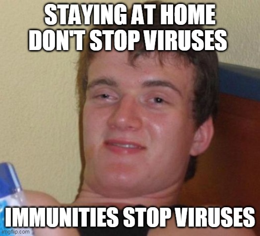 10 Guy Meme | STAYING AT HOME DON'T STOP VIRUSES; IMMUNITIES STOP VIRUSES | image tagged in memes,10 guy | made w/ Imgflip meme maker