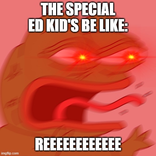 Sorry | THE SPECIAL ED KID'S BE LIKE:; REEEEEEEEEEEE | image tagged in rage pepe | made w/ Imgflip meme maker