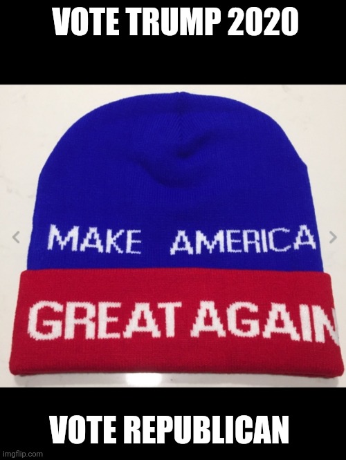VOTE TRUMP 2020 VOTE REPUBLICAN | made w/ Imgflip meme maker