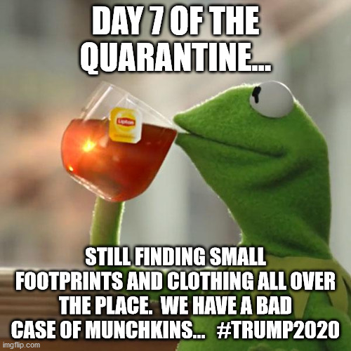 But That's None Of My Business | DAY 7 OF THE QUARANTINE... STILL FINDING SMALL FOOTPRINTS AND CLOTHING ALL OVER THE PLACE.  WE HAVE A BAD CASE OF MUNCHKINS...   #TRUMP2020 | image tagged in memes,but thats none of my business,kermit the frog | made w/ Imgflip meme maker