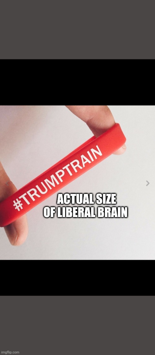 ACTUAL SIZE OF LIBERAL BRAIN | made w/ Imgflip meme maker