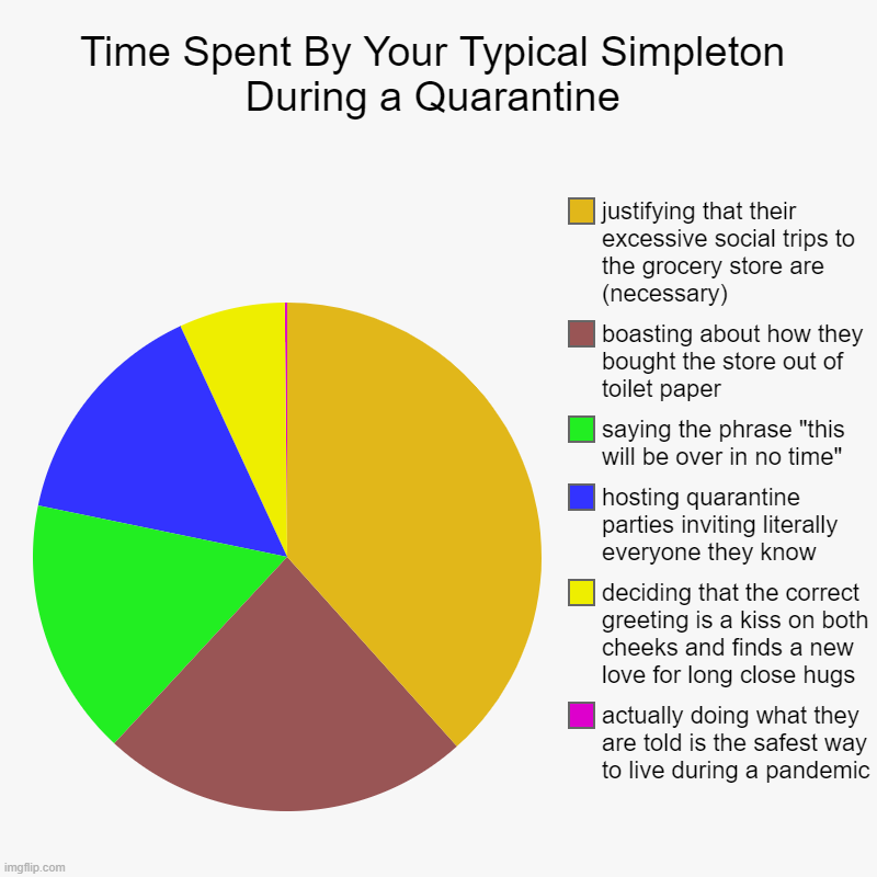 Time Spent By Your Typical Simpleton During a Quarantine | actually doing what they are told is the safest way to live during a pandemic, de | image tagged in charts,pie charts | made w/ Imgflip chart maker