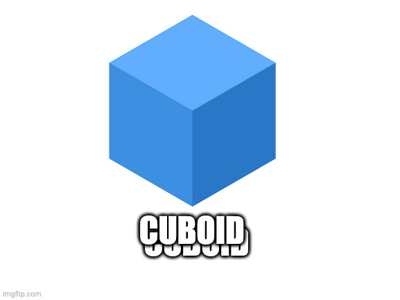 Blank White Template | CUBOID; CUBOID | image tagged in blank white template | made w/ Imgflip meme maker