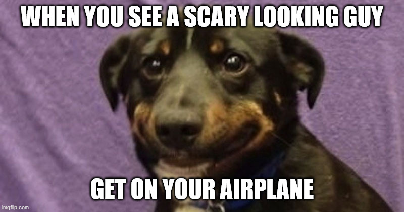 nervous dog | WHEN YOU SEE A SCARY LOOKING GUY; GET ON YOUR AIRPLANE | image tagged in nervous dog | made w/ Imgflip meme maker