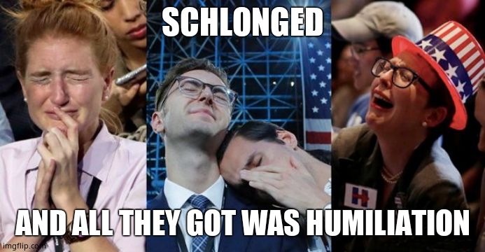 Hillary fans | SCHLONGED AND ALL THEY GOT WAS HUMILIATION | image tagged in hillary fans | made w/ Imgflip meme maker
