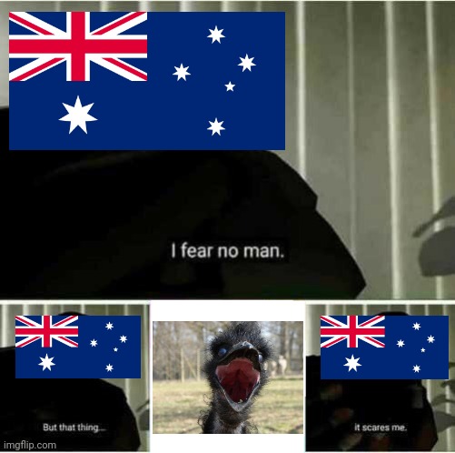 Australia after the Great Emu War of 1932 | image tagged in i fear no man,emu,history,memes,australia | made w/ Imgflip meme maker