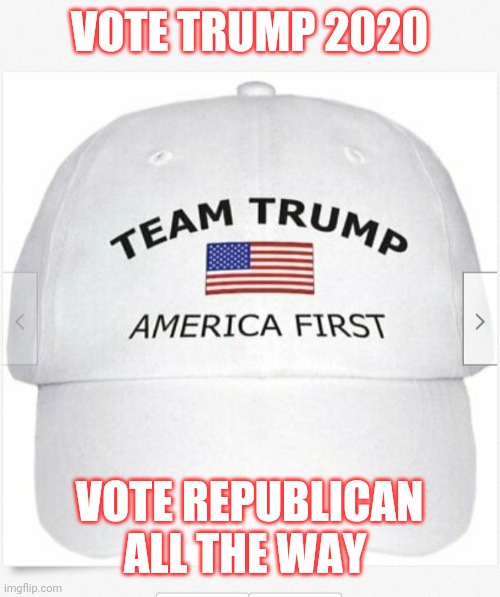 VOTE TRUMP 2020 VOTE REPUBLICAN ALL THE WAY | made w/ Imgflip meme maker